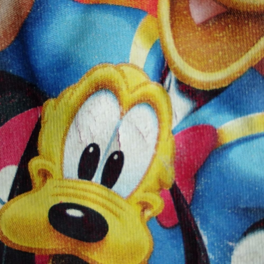 Disney Florida tee  - Picture 4 of 8
